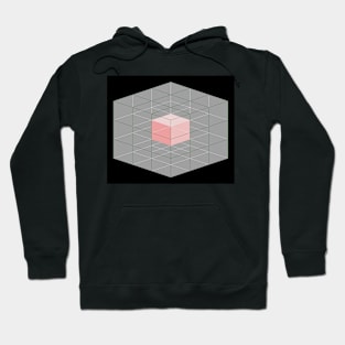 Cube within a cube Hoodie